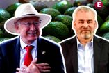 Exportación de aguacate: México reanudará envíos a EU