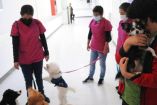 Van más de 36 mil 800 terapias asistidas con perros en el Hospital Pediátrico de Coyoacán