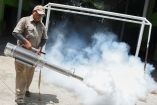 Fumigación contra el dengue
