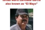 'El Mayo' Zambada, detenido.