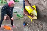 VIDEO: Lagos en Parque Tangamanga I se desbordan y deja calles llenas de peces