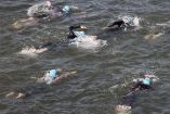 Atletas nadando en el río Sena.