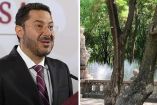 El proyecto “Chapultepec: Naturaleza y Cultura” avanza un 60% con 449 hectáreas rehabilitadas