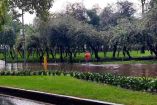 Cae fuerte aguacero en alcaldías Coyoacán y Tlalpan en CDMX.