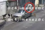 Jauría de perros ataca a hombre.