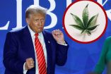 Donald Trump bailando con planta de mariguana a un lado.
