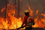 Bolivia declara emergencia nacional por incendios forestales