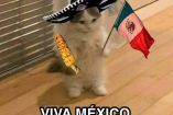 Memes Día de la Independencia