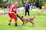 Ombra, una pastor belga malinois de tres años, recibe capacitación para indicar, con un ladrido, que hay una vida.