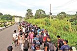 Migrantes en caravana.