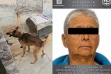 Rescatan 23 lomitos y un michi en condiciones de maltrato animal en Tecámac