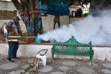 Fumigación contra el dengue