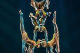 Los acróbatas del Cirque du Soleil son verdaderos artistas que transforman sus habilidades físicas en una experiencia mágica.