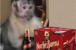 Meme del changuito con unas cervezas Nochebuena