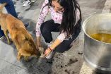 Con un plato de caldo y mucha compasión, los perros encontraron alivio en su travesía. Foto: José Antonio García