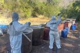 Semar destruye narcolaboratorio en tierra de Los Chapitos