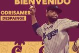 Odrisamer Despaigne anunciado como refuerzo de Tomateros.