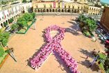 Moño rosa de lucha contra el cáncer.