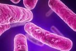 Recortes a programas contra la tuberculosis en EU pone en riesgo a millones: OMS