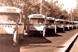 Trolebuses de la CDMX y sus choferes en la década de los 50.