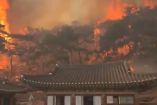 Imparable incendio forestal en Corea del Sur; hay 18 muertos. VIDEO