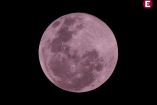 La Luna rosa llegará el próximo fin de semana 
