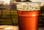 Te decimos en qué lugares sí habrá venta de alcohol. Foto: Pexels