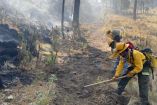 Incendio forestal