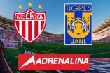 Escudos de Necaxa y Tigres en el Estadio Victoria.