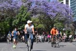 Paseo Dominical Muévete en Bici.