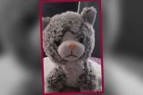 El peluche fue rescatado tras una extorsión. (Especial)