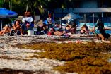 temporada-sargazo-2025-cancun-playa-del-carmen