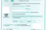 Certificado de estudios 