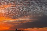 Vista de barcos pesqueros y embarcaciones de patrullaje sobre el mar del Alto Golfo de California al atardecer, con un cielo dramático cubierto de nubes y tonalidades rojizas y anaranjadas