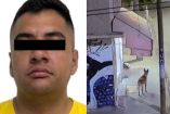 Asesinato de perrito en Ecatepec.