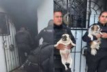 Policías de Jalisco rescatan a tres perritos atrapados en incendio en Tlajomulco