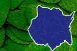 La producción de nopal es uno de los cultivos de mayor importancia para ese estado