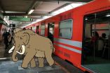 ¿Qué estación del Metro de la CDMX tiene el fósil de un mamut?