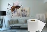 El truco con papel higiénico que extermina mosquitos sin insecticidas