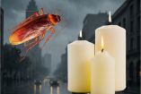 El truco de la vela que elimina por completo las cucarachas de tu hogar