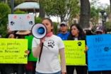 Protestan en Tlaxcala por aseguramiento ilegal de perritos callejeros