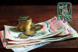 Pensión vitalicia IMSS: semanas cotizadas necesarias