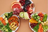 Tres platos con variedad de frutas y verduras frescas como arándanos, kiwi, zanahorias, brócoli, tomates y uvas, dispuestos sobre fondo beige, representando una alimentación equilibrada y rica en antioxidantes para fortalecer la memoria