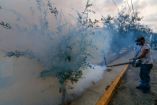 Trabajadores fumigan diversos parques para evitar la propagación del dengue