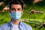 Mosquitos y dengue: síntomas que debes conocer