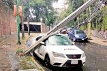 Un camión jaló cables en la calle Guerrero, entre avenida México y Camino a Santa Teresa, provocando que un poste de luz cayera sobre un taxi que estaba estacionado. Foto: Especial