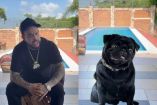 ¿Pepe Aguilar usó a su perro ‘Gordo’ para burlarse de su hijo Emiliano? 