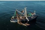 El año pasado México vendió a EU casi 99 mil toneladas de pescados y mariscos.