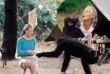 Fotos: ¿Quién fue Jane Goodall? La legendaria etóloga que transmitió su amor a los chimpancés. Foto: Fundación Jane Goodall.
