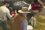 Una vaca orinó a La Bea mientras la ordeñaba